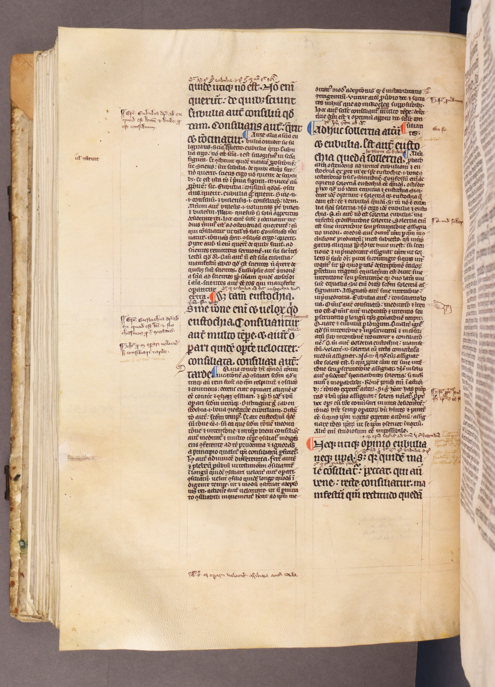 Folio 137 verso